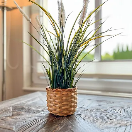 Appartamento Baltischer Hof 04 Boltenhagen (Ostseebad)