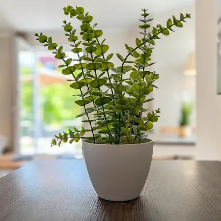 Baltischer Hof 04 * Boltenhagen (Ostseebad)