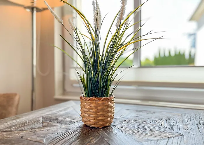 Apartman Baltischer Hof 04 Boltenhagen