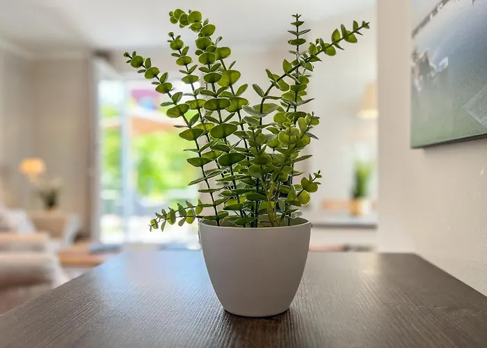 Baltischer Hof 04 * Boltenhagen