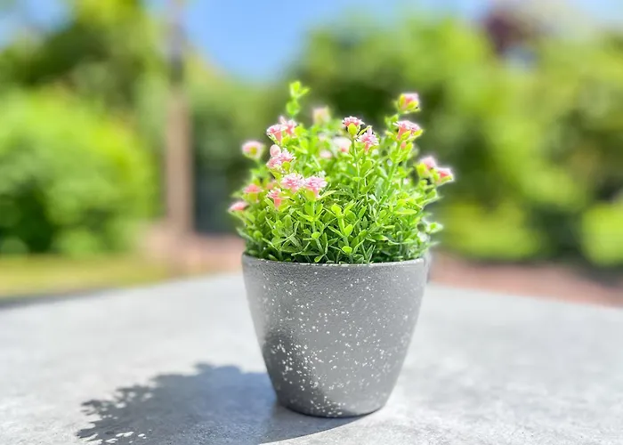 شقة Baltischer Hof 04